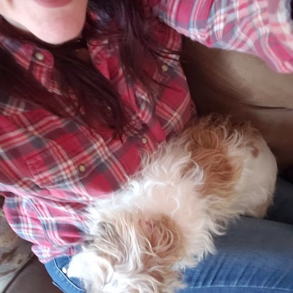 Meet your Posher, Kelly - Picture 5 of 9